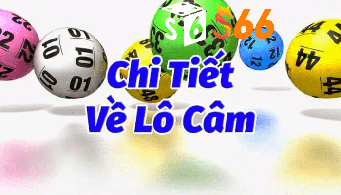 Biết quyết đánh lô khi đầu câm S66